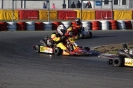 Saison 2015